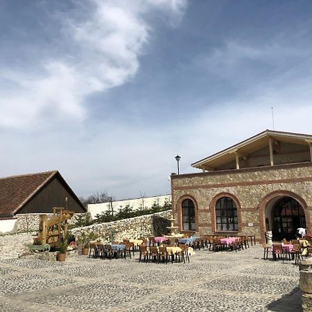 Conacul Maria Theresa Orlat Exterior foto